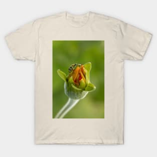 Budding flower T-Shirt